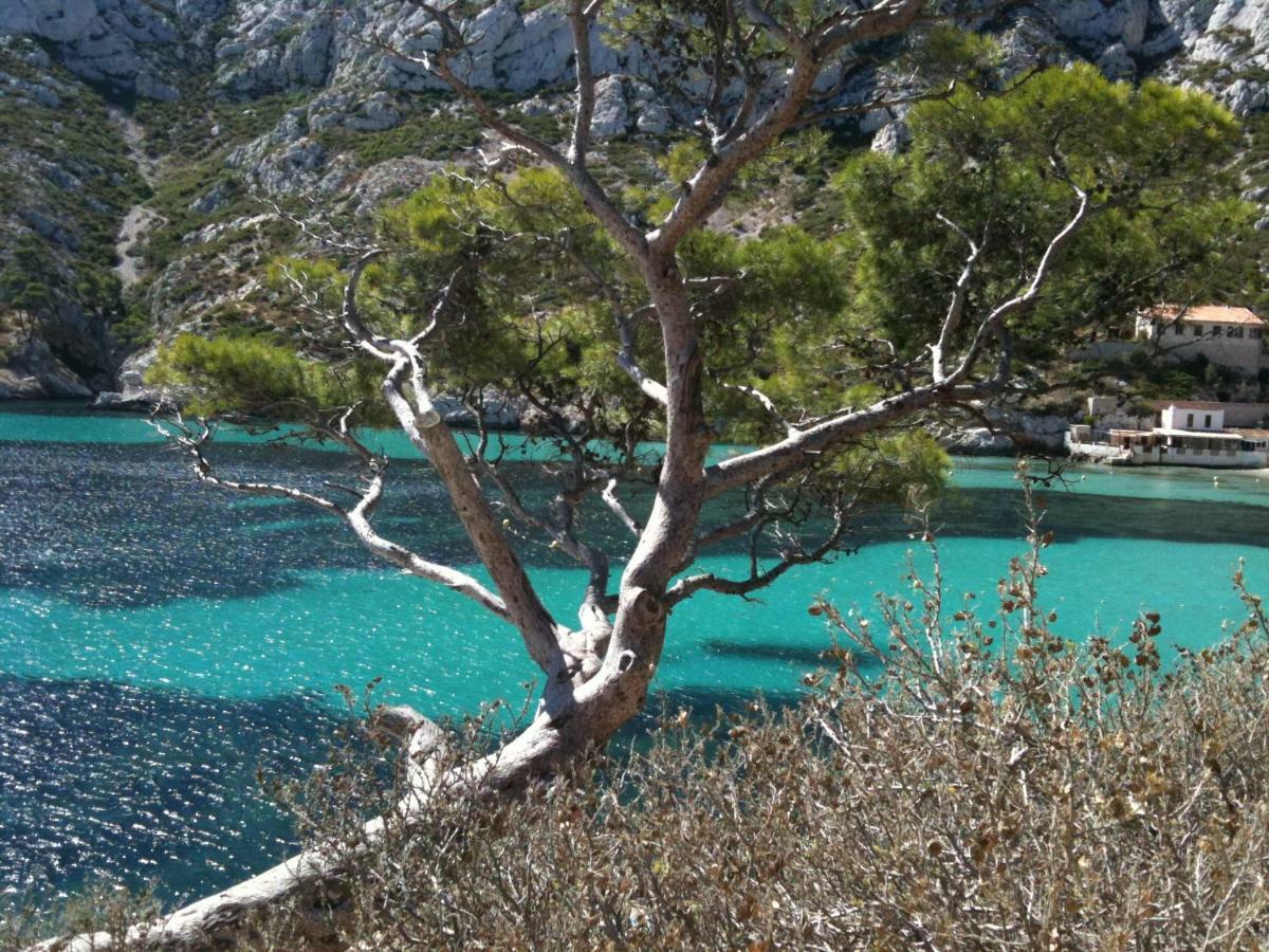 Home A La Mer La Ciotat Zewnętrze zdjęcie